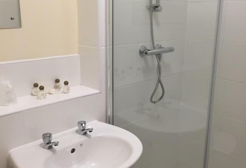 غرفة قياسية فردية, Strawberry Bank Hotel, Nec