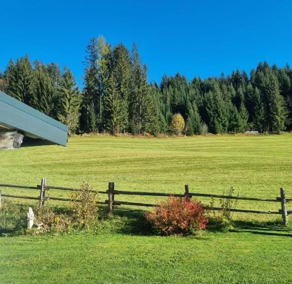 חדר סטנדרט יחיד, Boutique Hotel Alpenhof