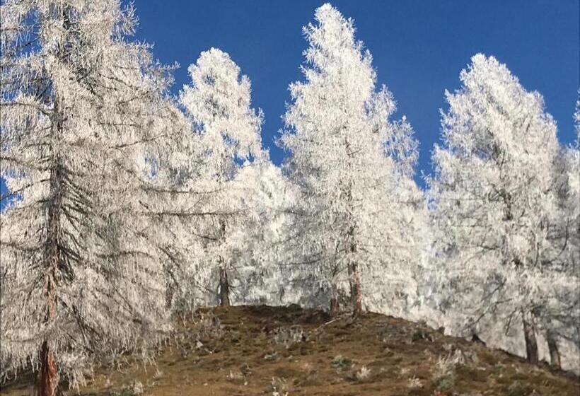 חדר אקונומי לארבעה, Boutique Hotel Alpenhof