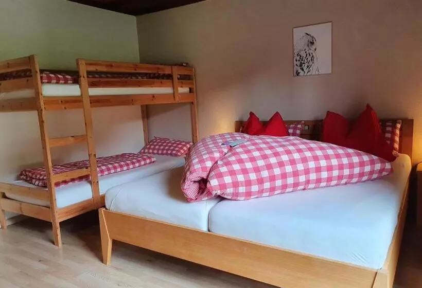 エコノミー４人部屋, Boutique Hotel Alpenhof