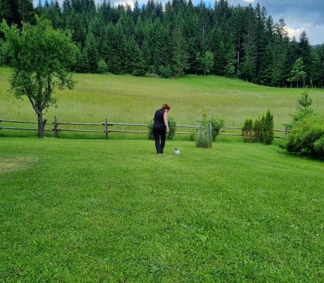 חדר סופריור, Boutique Hotel Alpenhof