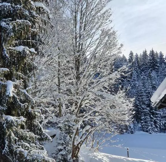 デラックスの４人部屋, Boutique Hotel Alpenhof