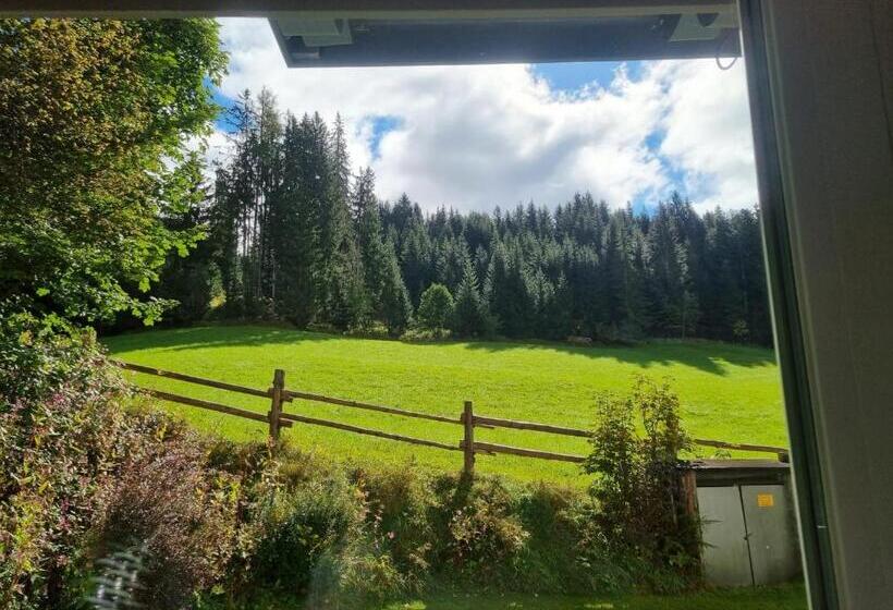 חדר דלוקס לשלושה, Boutique Hotel Alpenhof