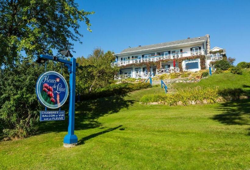 Номер Стандарт, Auberge Fleurs De Lune