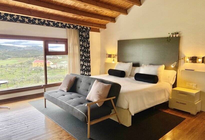 غرفة قياسية, Convento San Diego