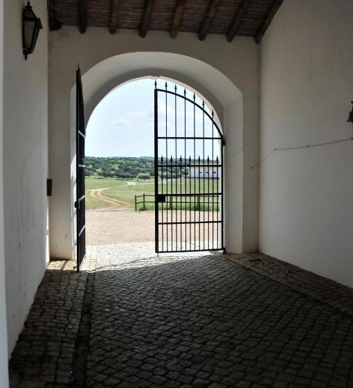 스탠다드 룸, Herdade Da Negrita