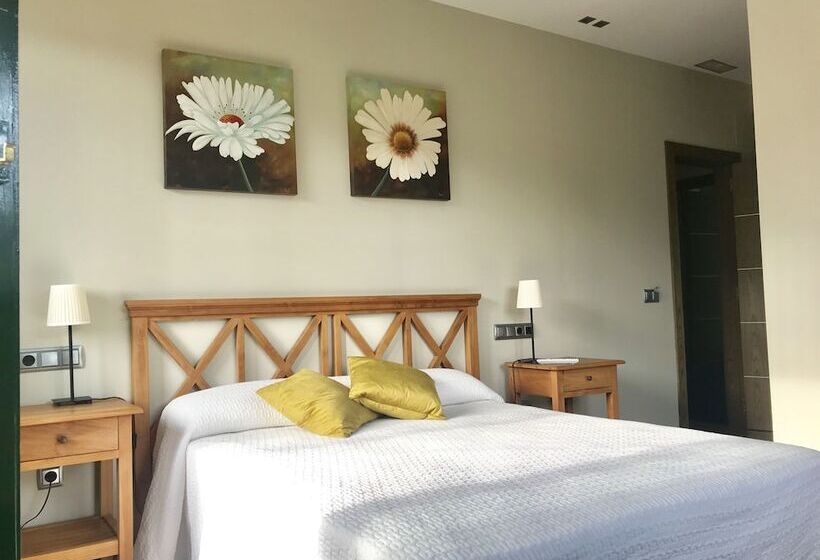 غرفة قياسية, Hospederia Rural Aldeaduero