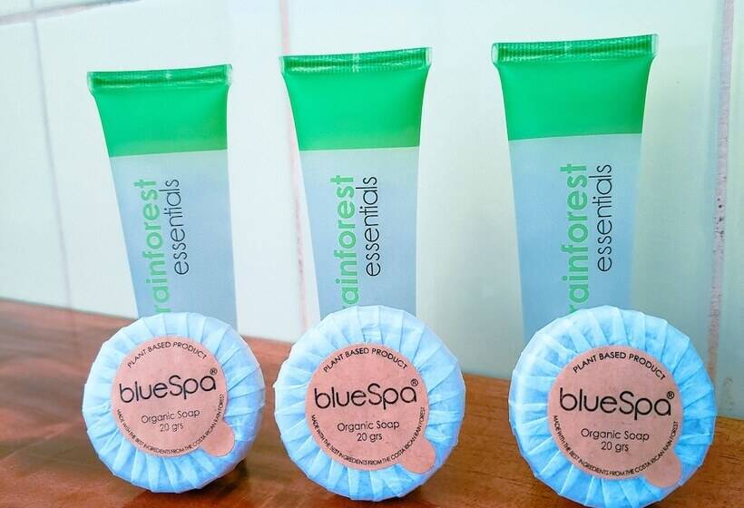 غرفة قياسية بلس, San Bosco Inn