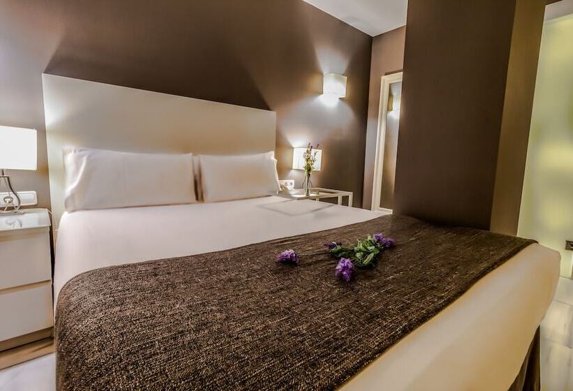 Номер Стандарт Индивидуальный, Sm Hotel Teatre Auditori