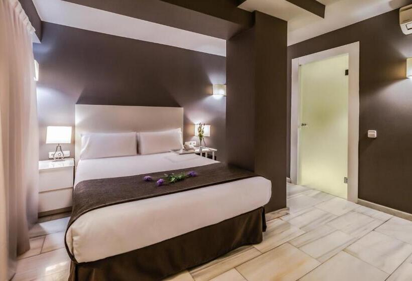 Номер Стандарт, Sm Hotel Teatre Auditori