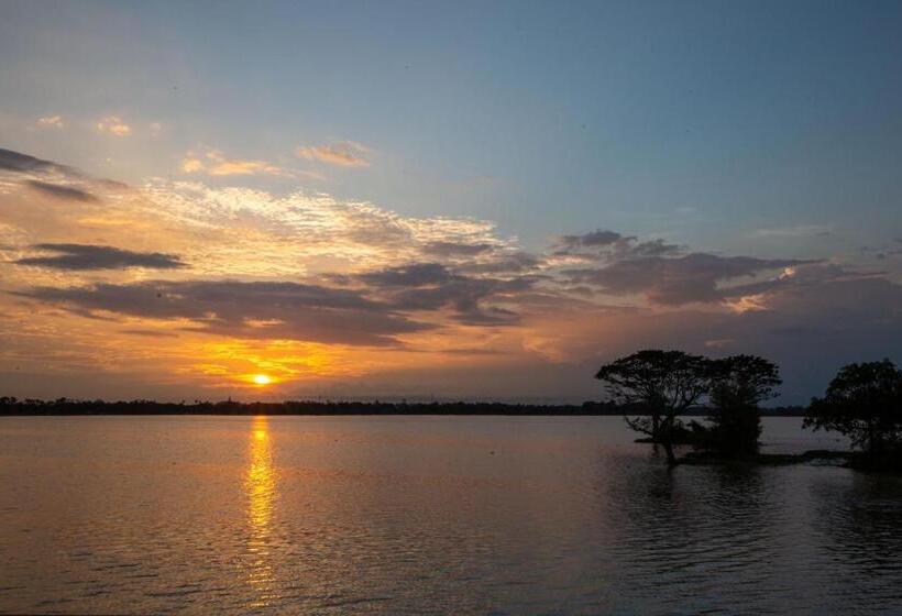 스탠다드 트리플 룸, Olu Villa Resort