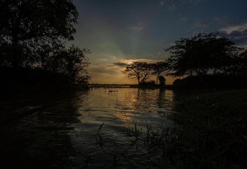 스탠다드 룸 킹사이즈 침대, Olu Villa Resort