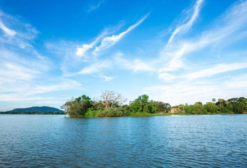 패밀리 룸, Olu Villa Resort