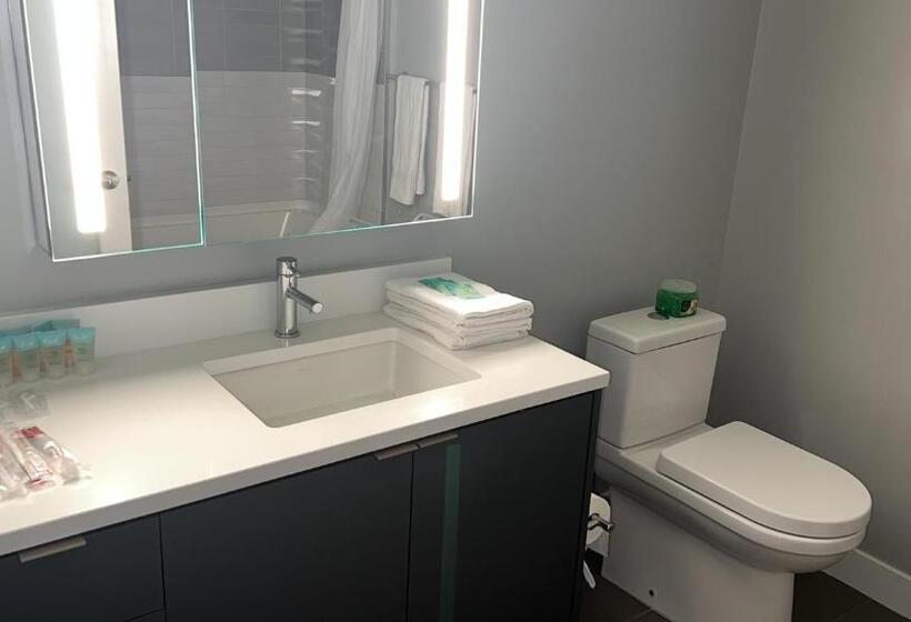 استودیوی استاندارد, Stayspro   Hollywood Homes Minutes To Everything Spacious And Free Parking
