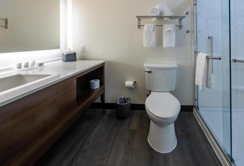 غرفة قياسية سرير كينج لذوى الإحتياجات الخاصة, Spice & Sky Atlanta Perimeter