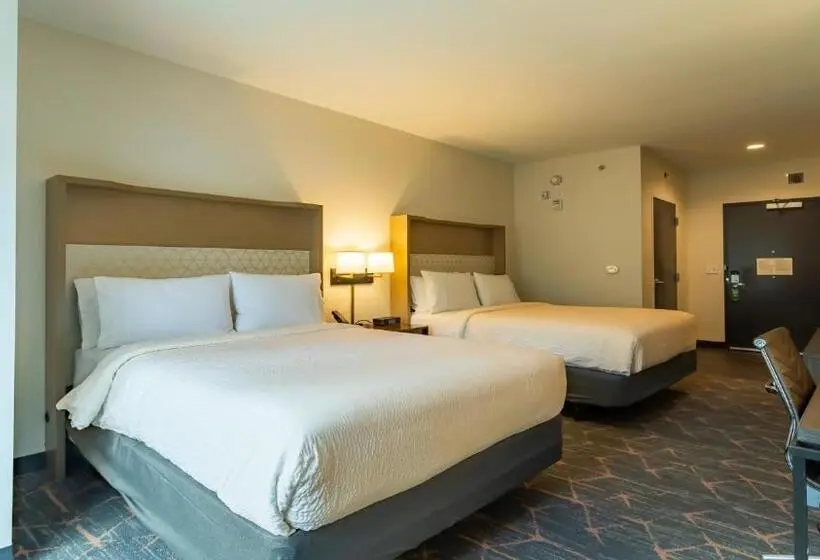 身障者適用スタンダードルーム, Courtyard By Marriott Atlanta Dunwoody