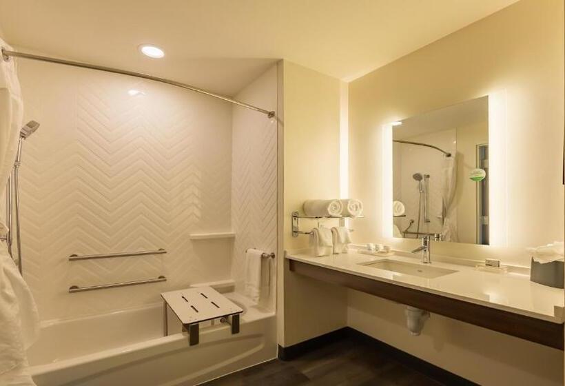 장애인을 위한 킹사이즈 침대 스탠다드 룸, Spice & Sky Atlanta Perimeter