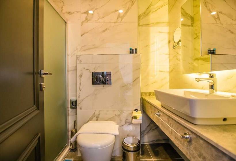 חדר דלוקס לשלושה, Fly Inn