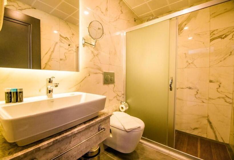 חדר סטנדרט, Fly Inn