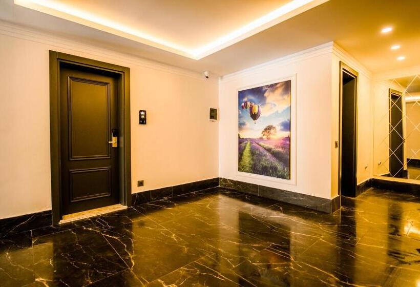 חדר דלוקס לשלושה, Fly Inn