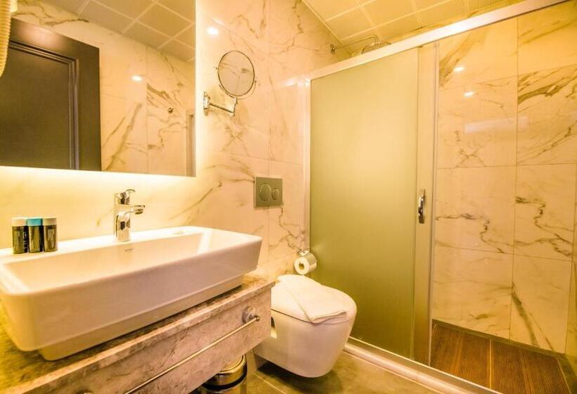 חדר אקונומי, Fly Inn