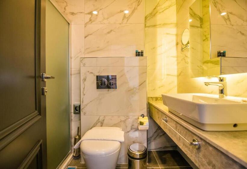 חדר אקונומי, Fly Inn