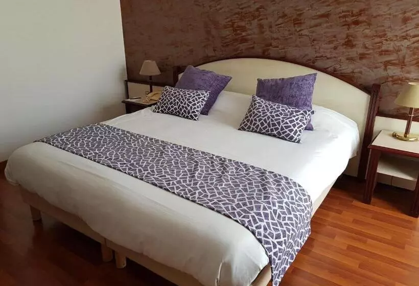 Comfort Single Room