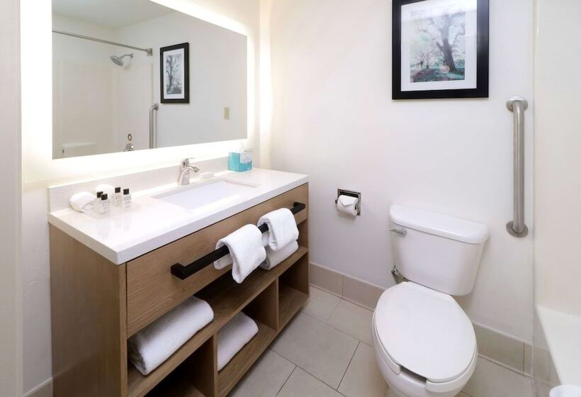 套房, Wyndham Garden Mcallen At La Plaza Mall