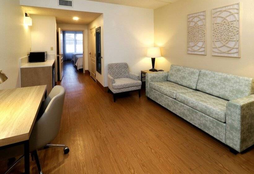 جناح, Wyndham Garden Mcallen At La Plaza Mall