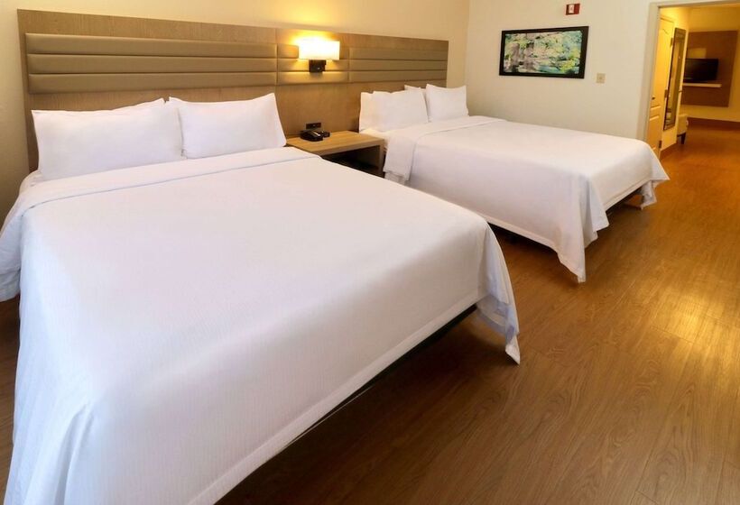 套房, Wyndham Garden Mcallen At La Plaza Mall
