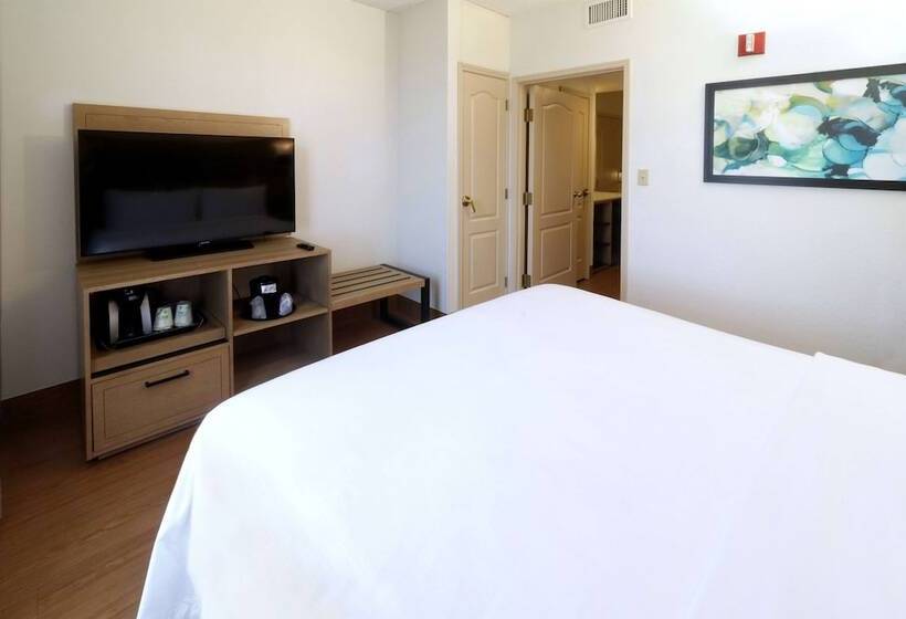 جناح, Wyndham Garden Mcallen At La Plaza Mall