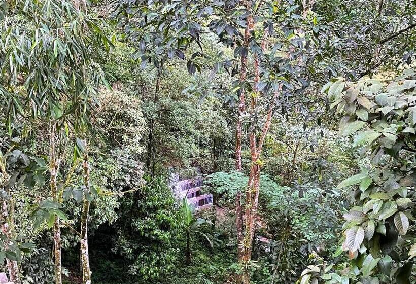 Номер Стандарт Трехместный, La Nube Eco