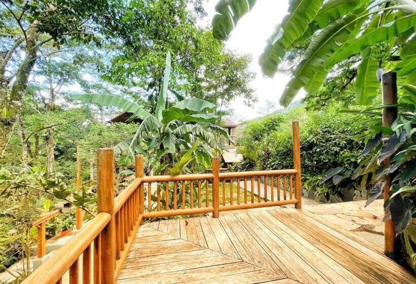 Четырехместный Номер Стандарт, La Nube Eco