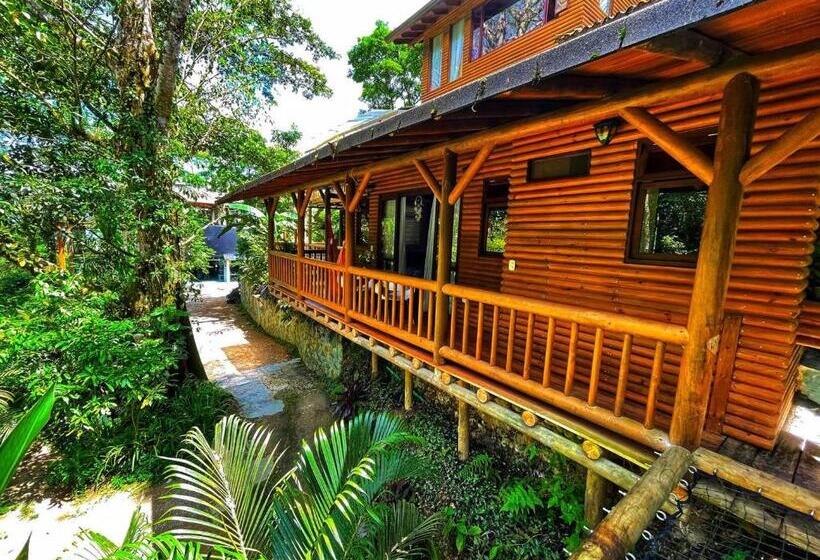 Четырехместный Номер Стандарт, La Nube Eco