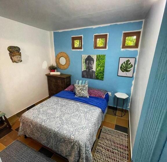 Номер Стандарт, La Nube Eco