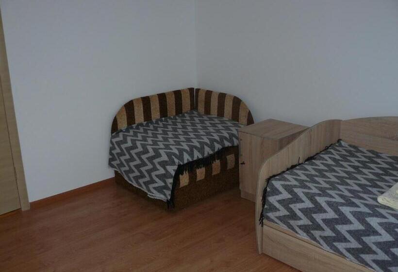 共用房间的床, Hostynnyi Botsiun