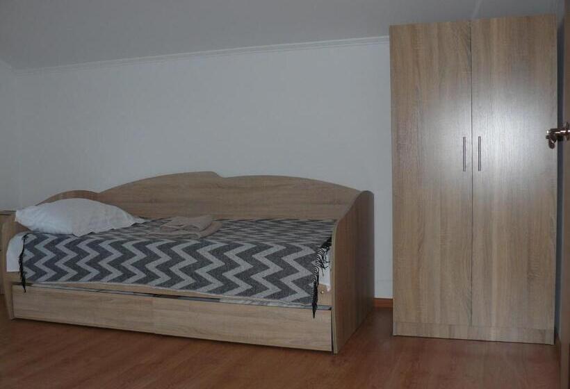 共用房间的床, Hostynnyi Botsiun