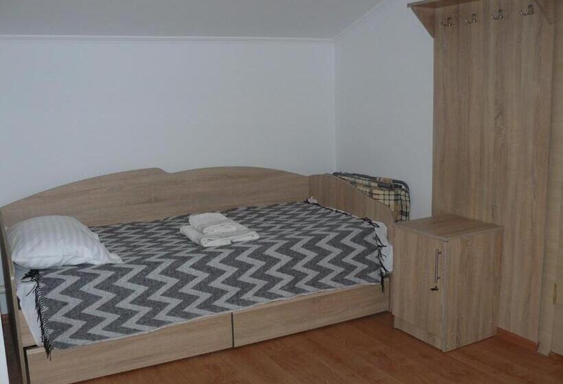 共用房间的床, Hostynnyi Botsiun