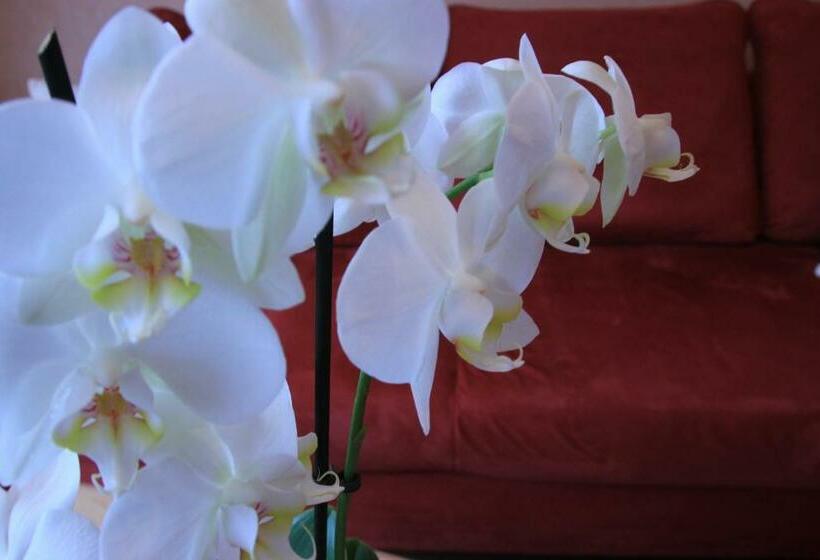 Апартаменты 1 Спальня, Wein Und Gästehaus Hüls