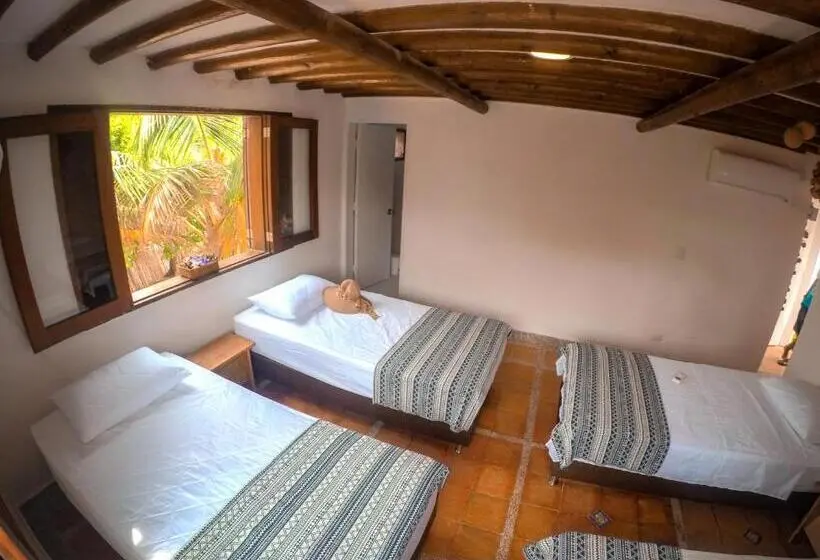 ４ベッドルームクラシックタイプ, Casa Tinti