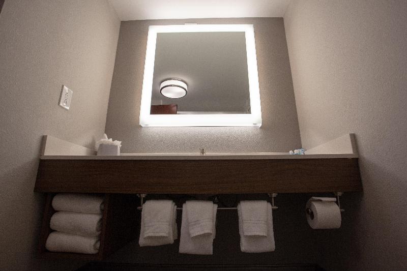 מיטת קינג בסוויטה, Holiday Inn Express & Suites Atlanta Perimeter Mall Hotel, An Ihg