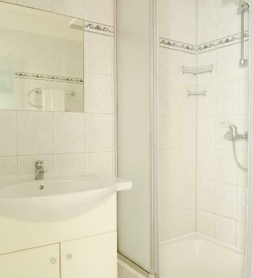 Camera Standard, Amicus