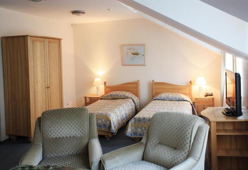 Camera Standard, Amicus