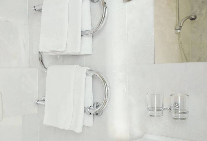 Camera Standard, Amicus