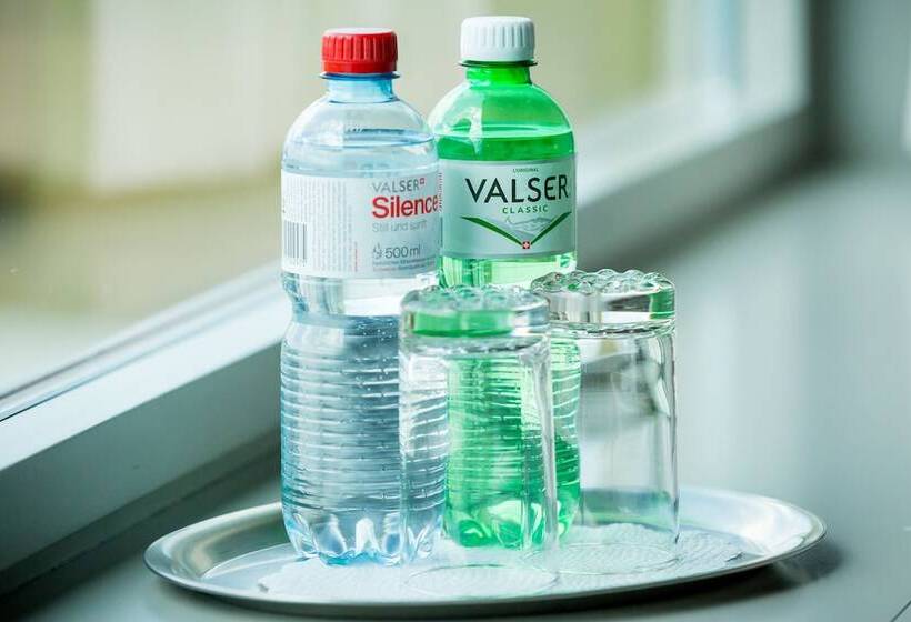 标准间, Dasbreitehotel Am Rhein