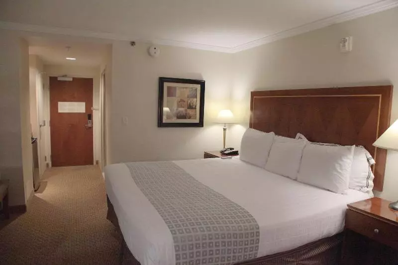 キングサイズベッドのスタンダードルーム, Executive Suites