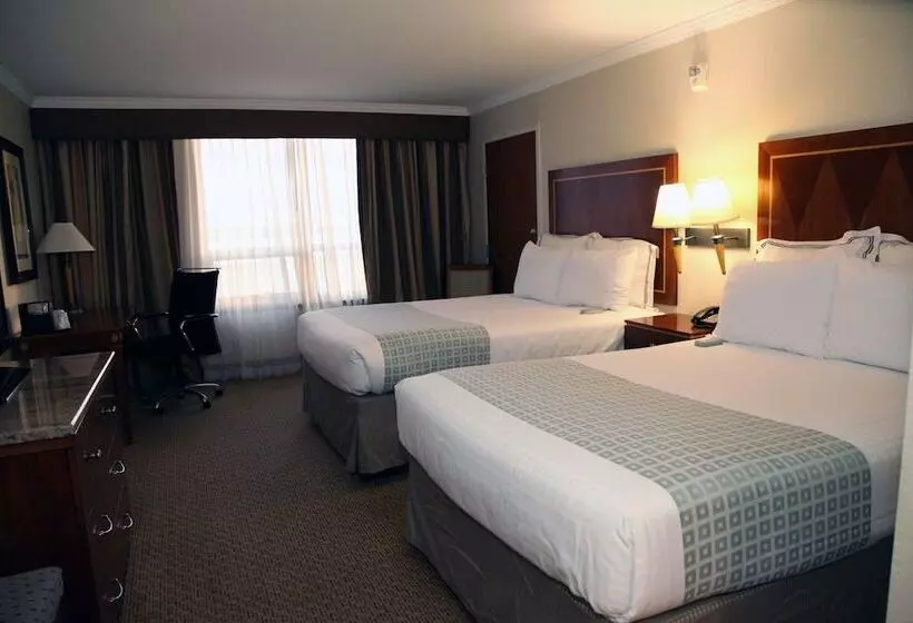 ２ダブルベッドのスタンダードルーム, Executive Suites