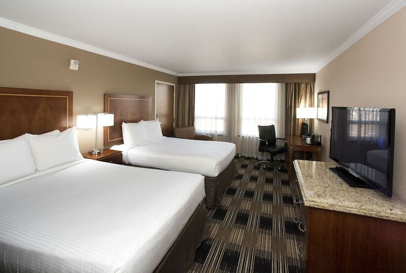 غرفه قياسيه سريرين مزدوجين, Executive Suites