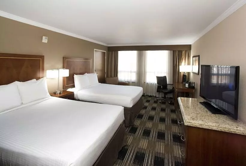 ２ダブルベッドのスタンダードルーム, Executive Suites