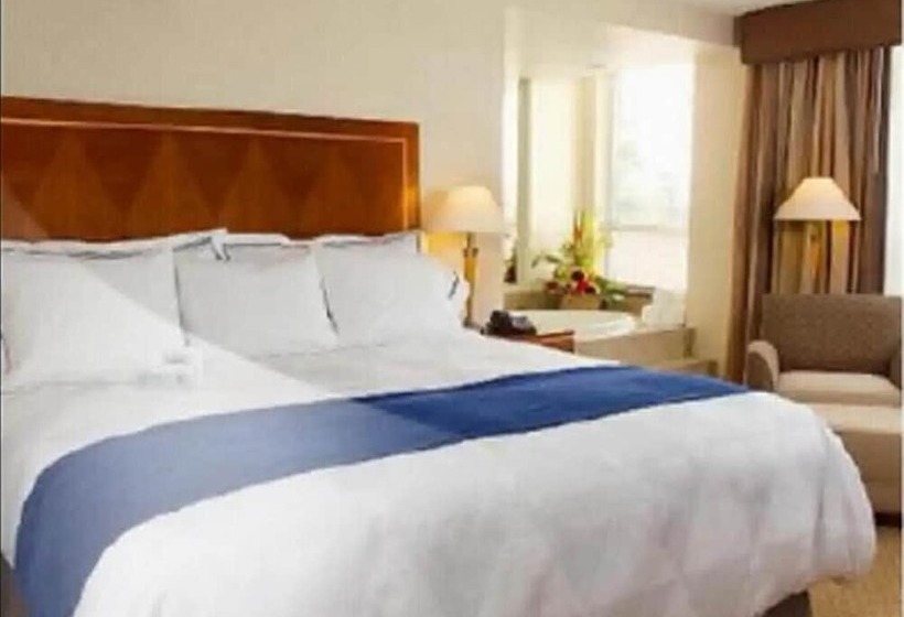 جناح إدارى, Executive Suites